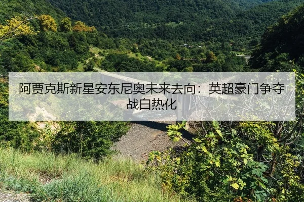 a-jia-ke-si-xin-xing-an-dong-ni-ao-wei-lai-qu-xiang-ying-chao-hao-men-zheng-duo-zhan-bai-re-hua-2-284.jpg