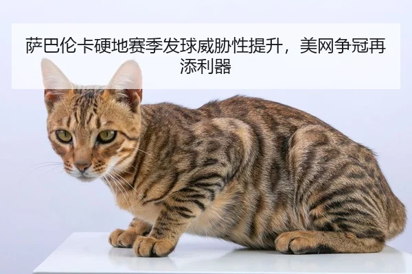 萨巴伦卡硬地赛季发球威胁性提升，美网争冠再添利器