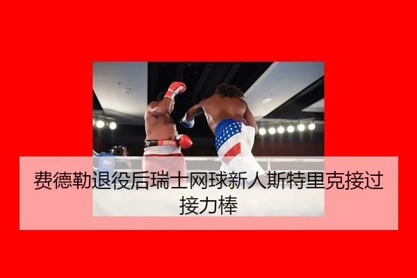fei-de-lei-tui-yi-hou-rui-shi-wang-qiu-xin-ren-si-te-li-ke-jie-guo-jie-li-bang-3-454.jpg